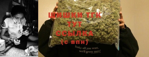 шишки Абдулино